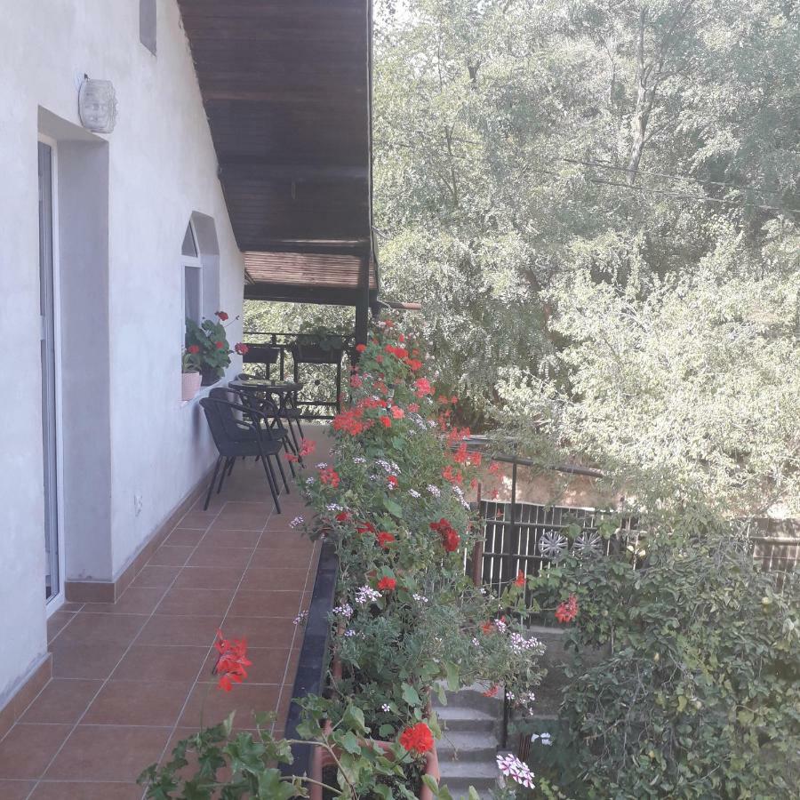 Hotel Casamarinela Orszowa Zewnętrze zdjęcie